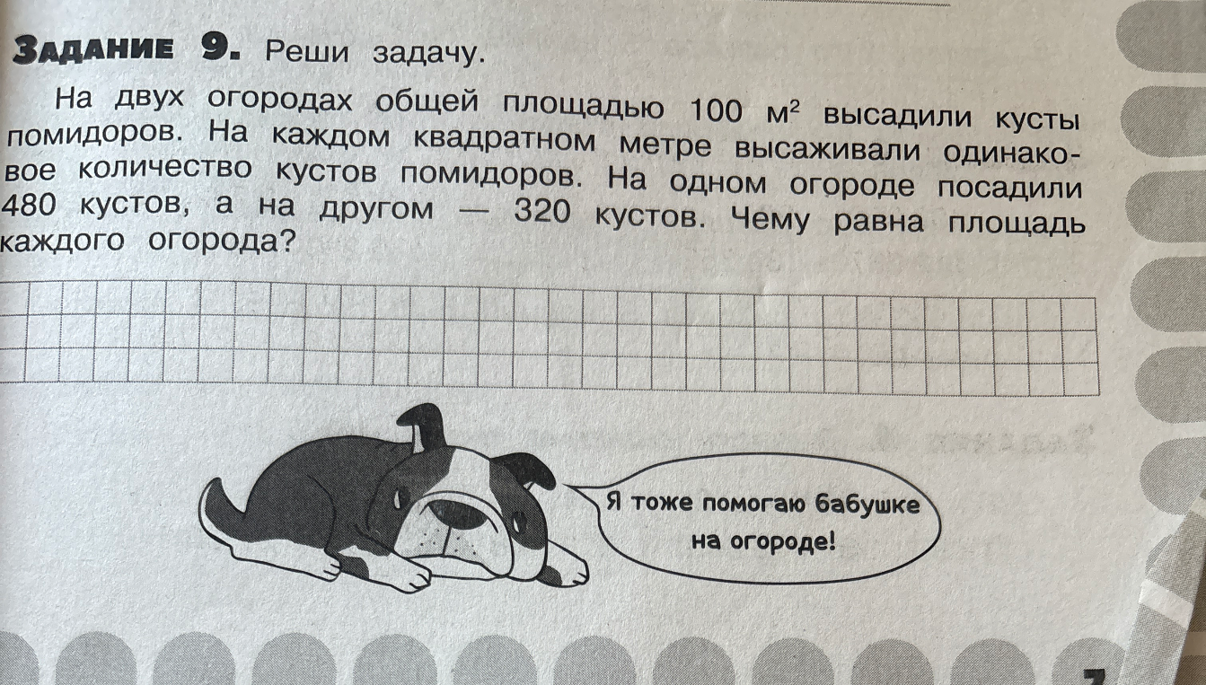 На двух огородах общей площадью 100 м² высадили кусты помидоров. На каждом квадратном метре высаживали одинаковое количество кустов помидоров. На одном огороде посадили 480 кустов, а на другом — 320 кустов. Чему равна площадь каждого огорода?