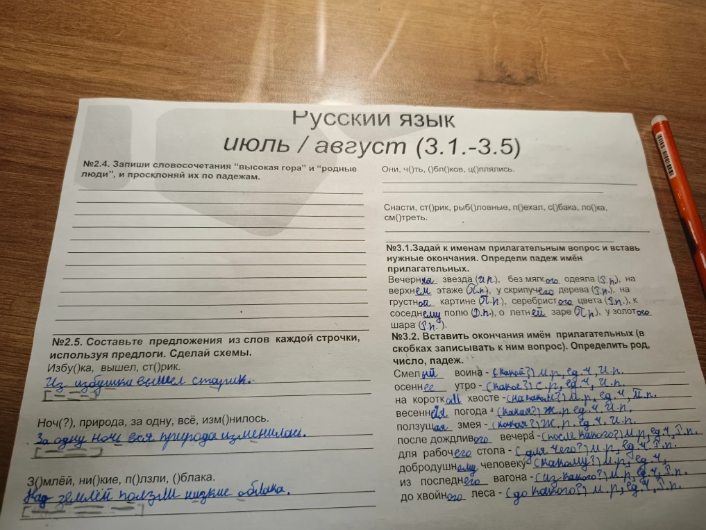 №2.4. Запиши словосочетания “высокая гора” и “родные люди”, и просклоняй их по падежам.