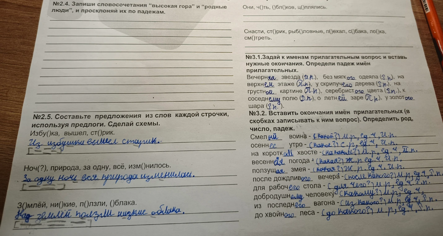 №2.4. Запиши словосочетания “высокая гора” и “родные люди”, и просклоняй их по падежам.