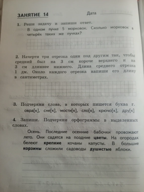 Реши задачу и запиши ответ. В одном пучке 5 морковок. Сколько морковок в четырёх таких же пучках?