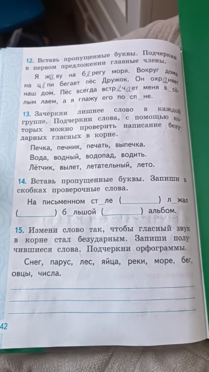 12. Вставь пропущенные буквы. Подчеркни в первом предложении главные члены.