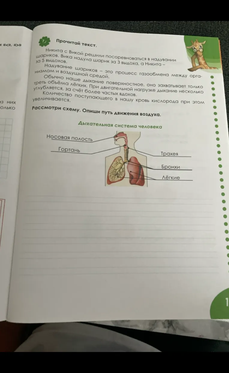 Рассмотри схему. Опиши путь движения воздуха.