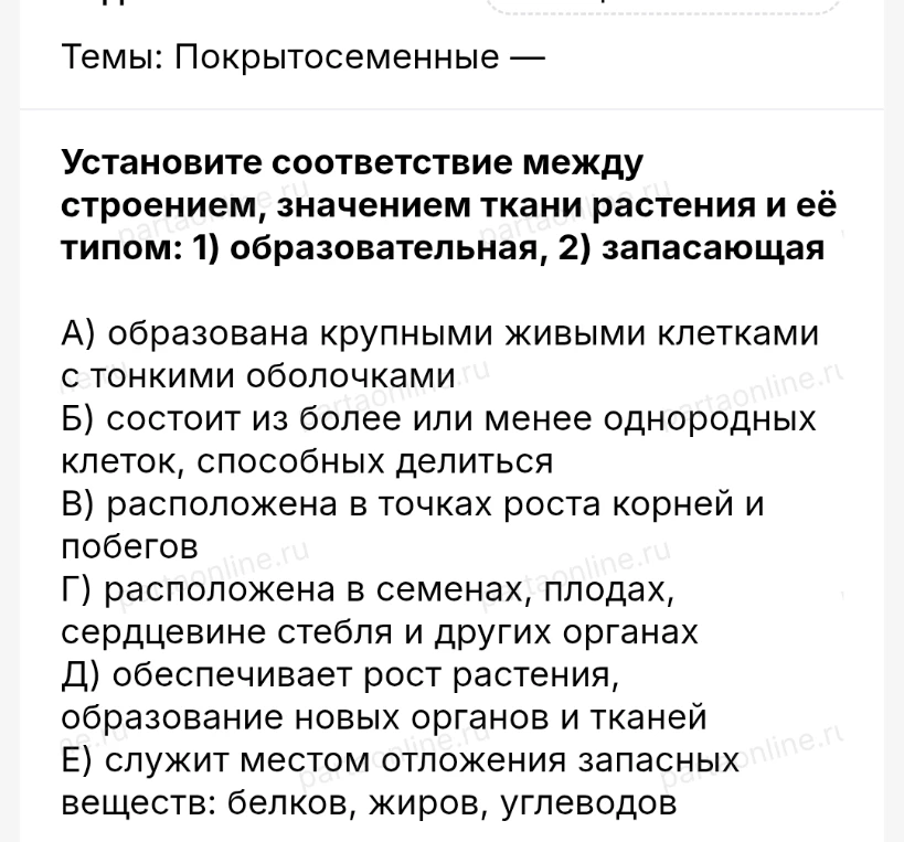 Установите соответствие между строением, значением ткани растения и её типом: 1) образовательная, 2) запасающая