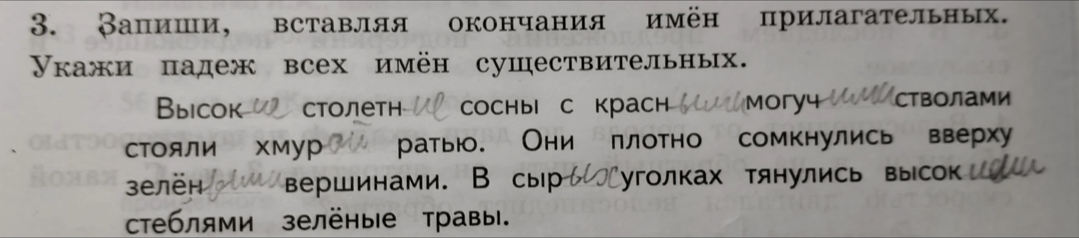 3. Запиши, вставляя окончания имён прилагательных. Укажи падеж всех имён существительных.