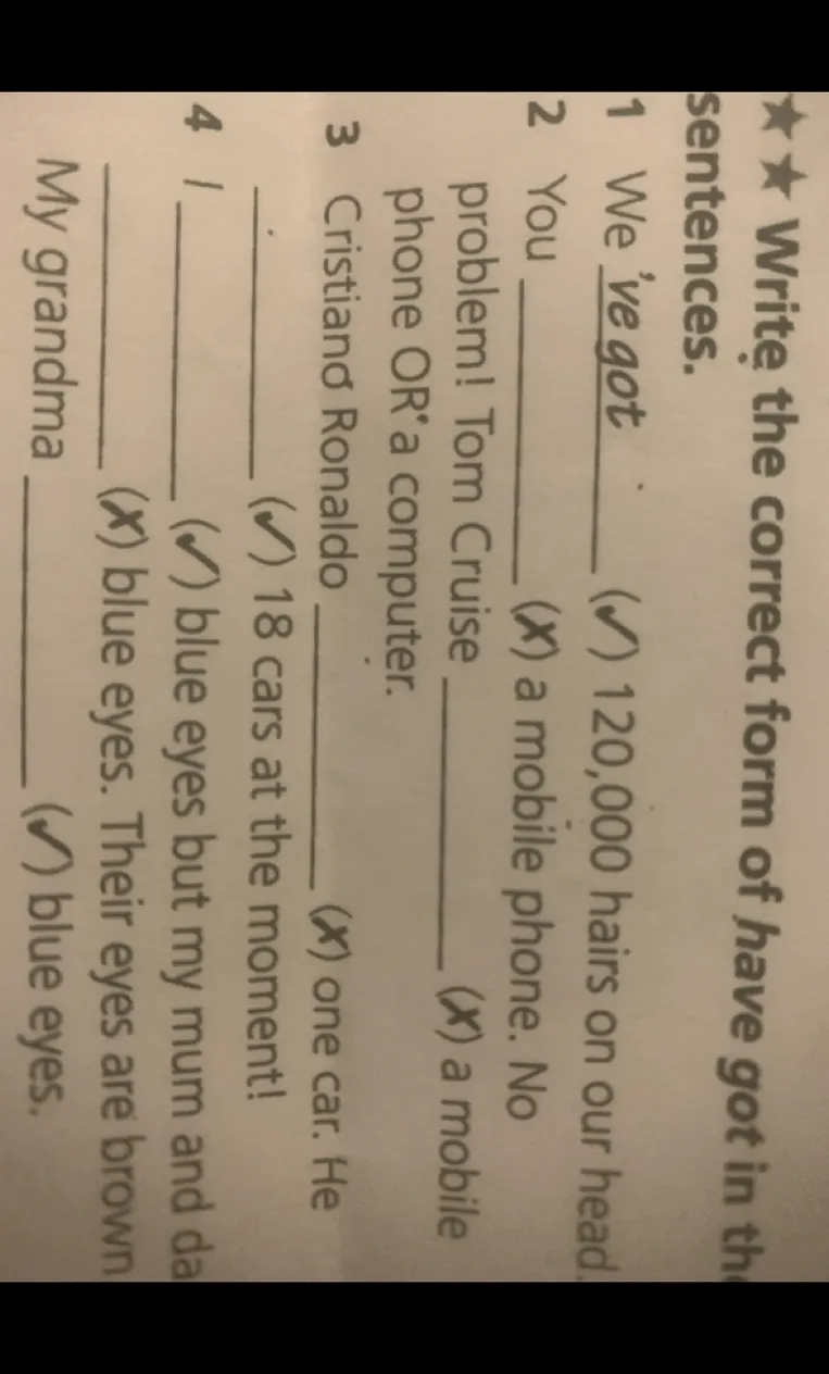 Write the correct form of have got in the sentences.