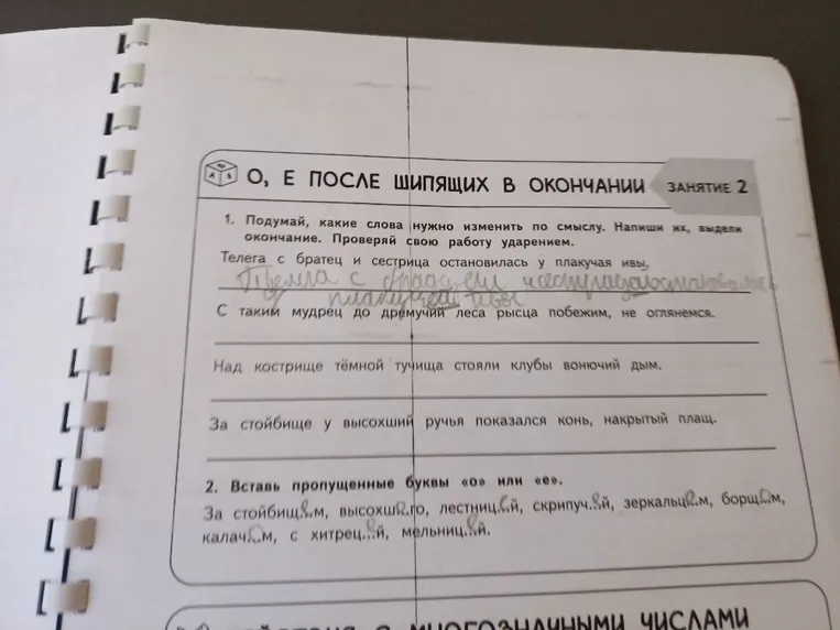 Подумай, какие слова нужно изменить по смыслу. Напиши их, выдели окончание. Проверяй свою работу ударением.