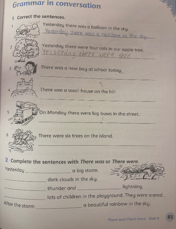 Correct the sentences.