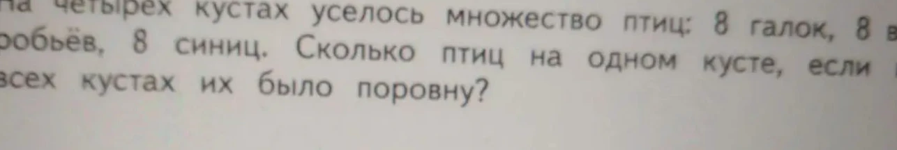 На четырех кустах уселось множество птиц: 8 галок, 8 воробьёв, 8 синиц. Сколько птиц на одном кусте, если на всех кустах их было поровну?