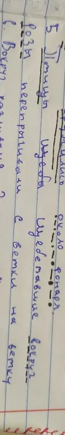 5) Птицы улетали около фонаря, роем перепархивали с ветки на ветку