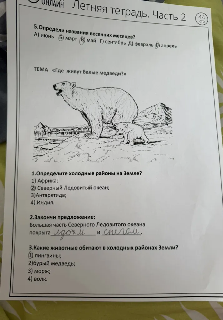 Определи названия весенних месяцев. Определите холодные районы на Земле.