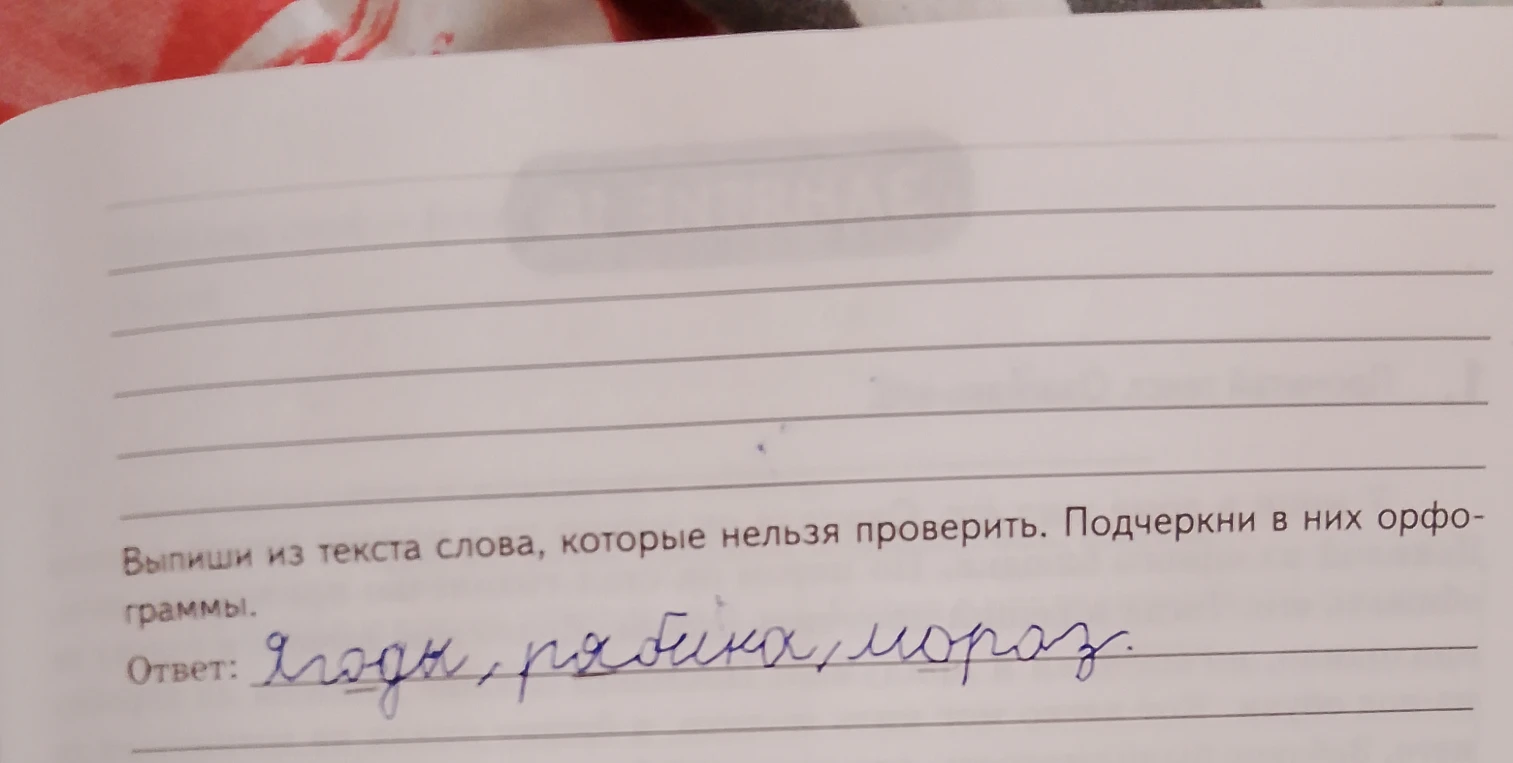 Выпиши из текста слова, которые нельзя проверить. Подчеркни в них орфограммы.