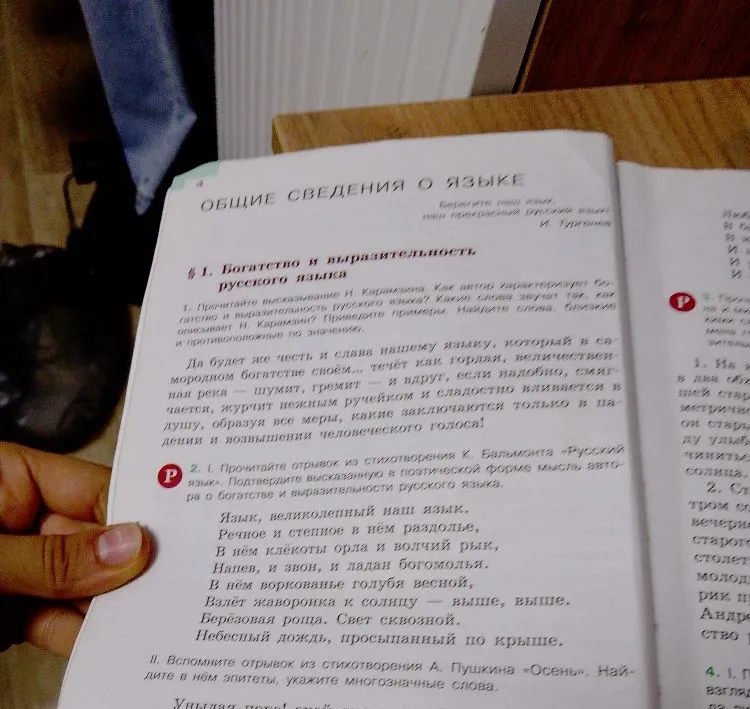 Прочитайте высказывание Н. Карамзина. Как автор характеризует богатство и выразительность русского языка?