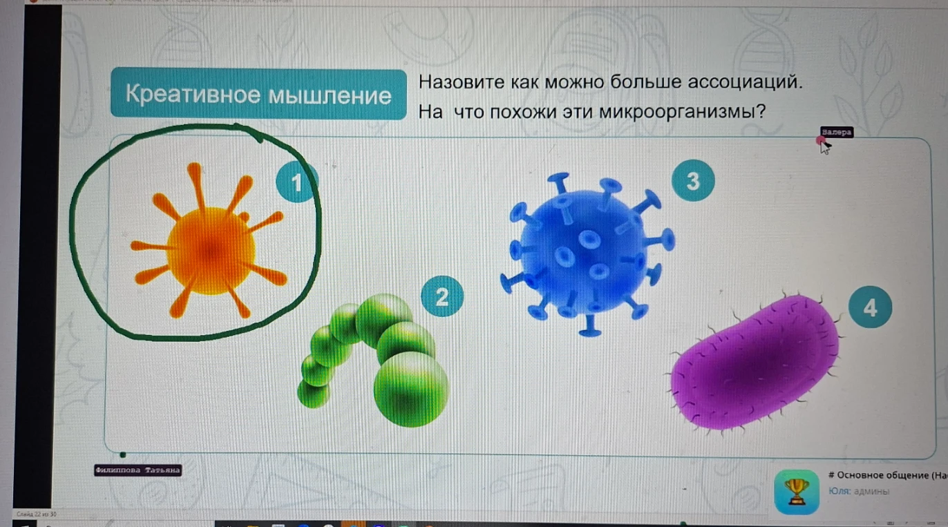 Назовите как можно больше ассоциаций. На что похожи эти микроорганизмы?