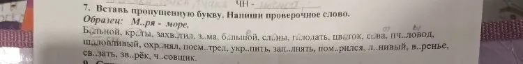 7. Вставь пропущенную букву. Напиши проверочное слово.