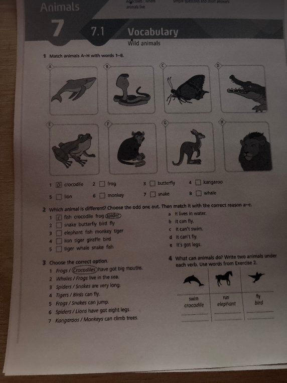 Match animals A-H with words 1-8.