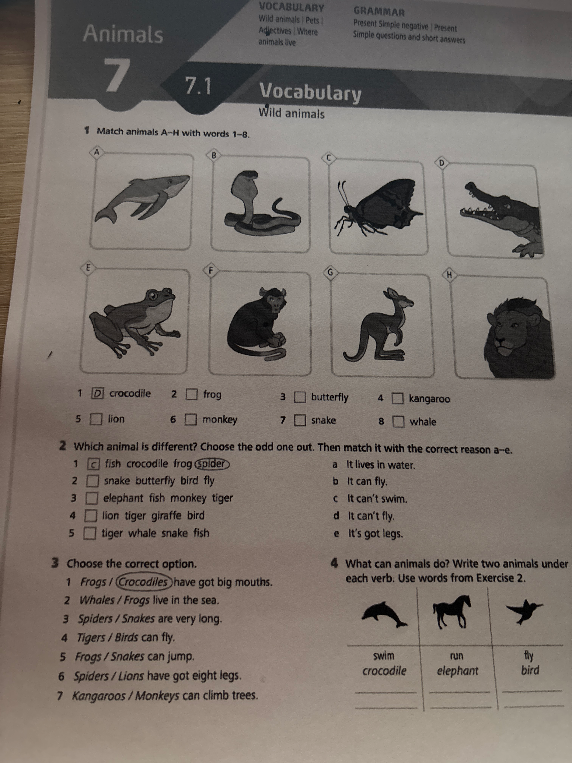 Match animals A-H with words 1-8.