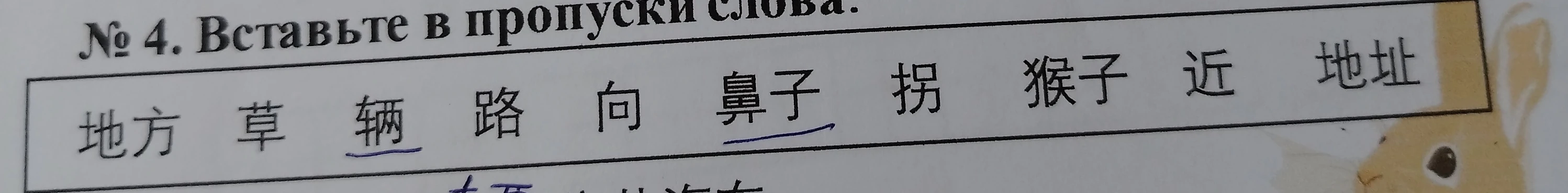 № 4. Вставьте в пропуски слова.