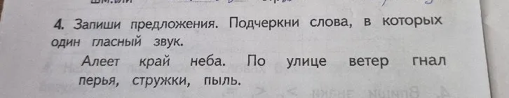 4. Запиши предложения. Подчеркни слова, в которых один гласный звук.
