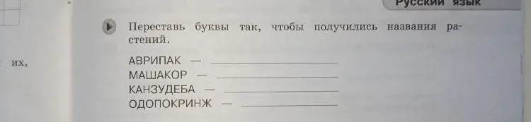 Переставь буквы так, чтобы получились названия растений.