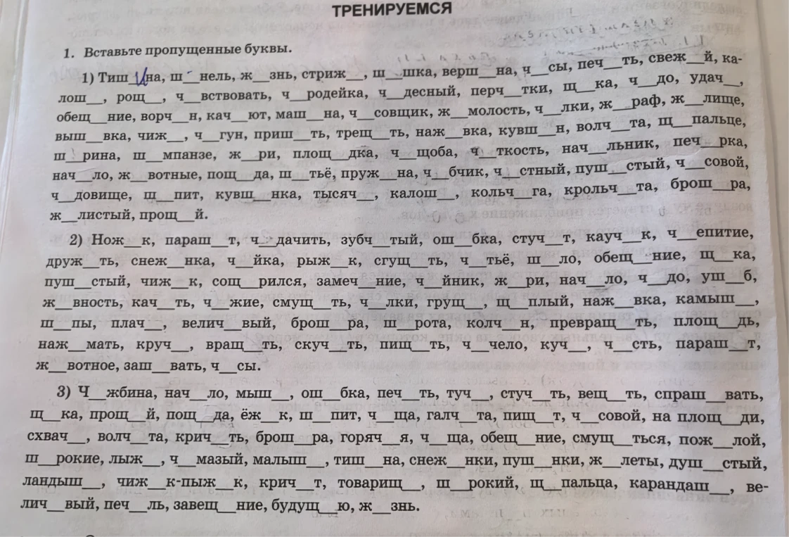 1. Вставьте пропущенные буквы.