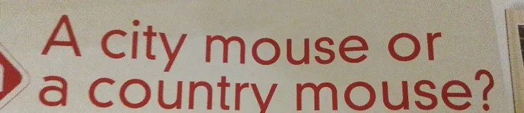 A city mouse or a country mouse?