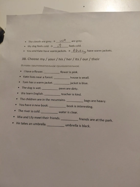 3B. Choose my / your / his / her / its / our / their. Вставь притяжательное прилагательное.