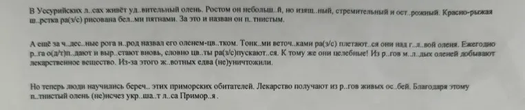 В Уссурийских л..сах живёт уд..вительный олень. Ростом он небольш..й, но изящ..ный, стремительный и ост..рожный.