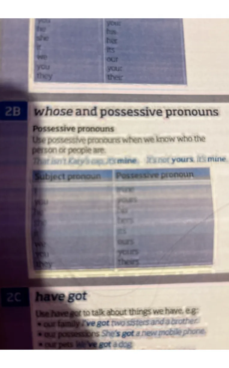 2B whose and possessive pronouns