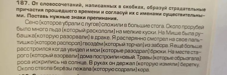 187. От словосочетаний, написанных в скобках, образуй страдательные причастия прошедшего времени и согласуй их с именами существительными. Поставь нужные знаки препинания.