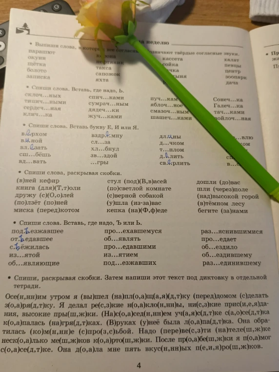 Выпиши слова, в которых все согласные обозначают твёрдые согласные звуки.