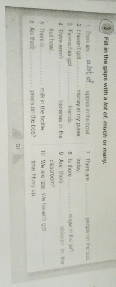 Fill in the gaps with a lot of, much or many.