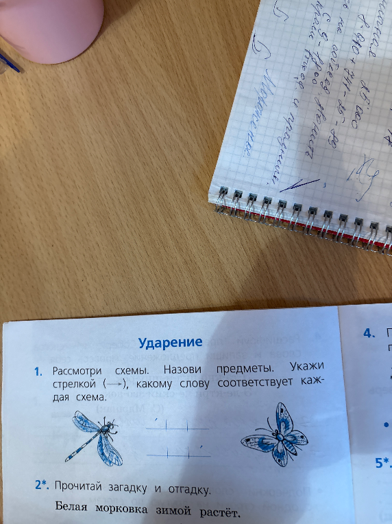 Рассмотри схемы. Назови предметы. Укажи стрелкой (→), какому слову соответствует каждая схема.