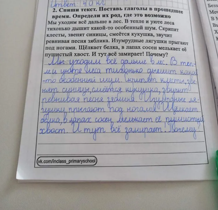 2. Спиши текст. Поставь глаголы в прошедшее время. Определи их род, где это возможно