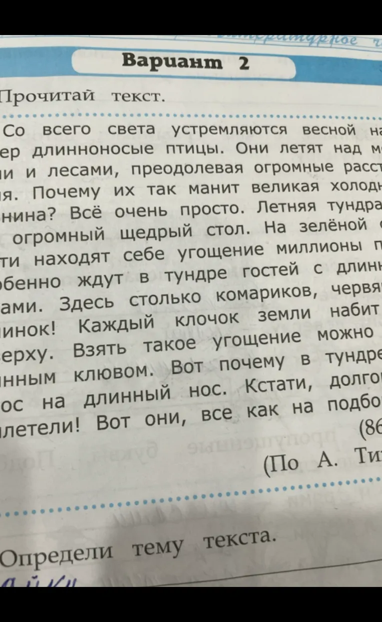 Определи тему текста.