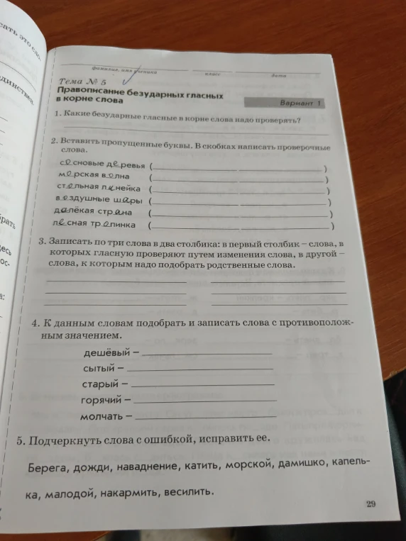 1. Какие безударные гласные в корне слова надо проверять?