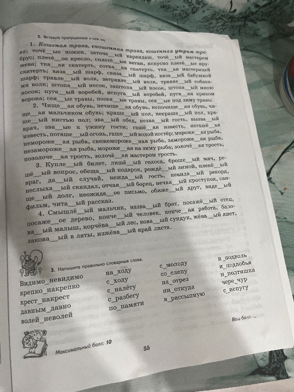 2. Вставьте пропущенные н или нн. 3. Напишите правильно словарные слова.