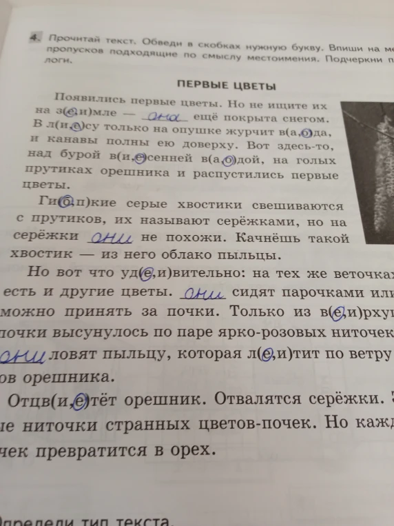 Найди предложение только из главных членов предложения.