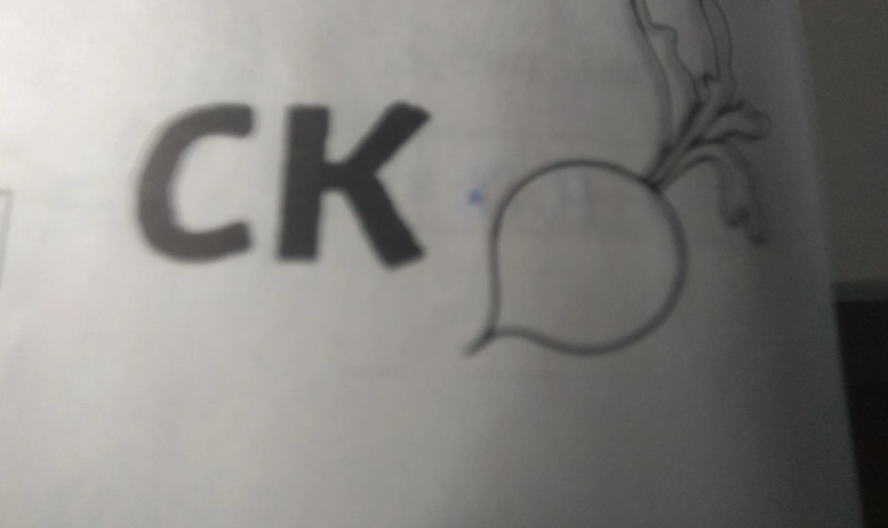 На изображении буквосочетание «CK» и рисунок корнеплода. Требуется помощь в понимании задания.
