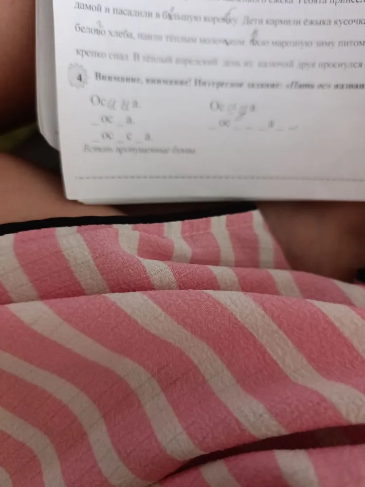 Внимание, внимание! Интересное задание: «Пять ос» назван...