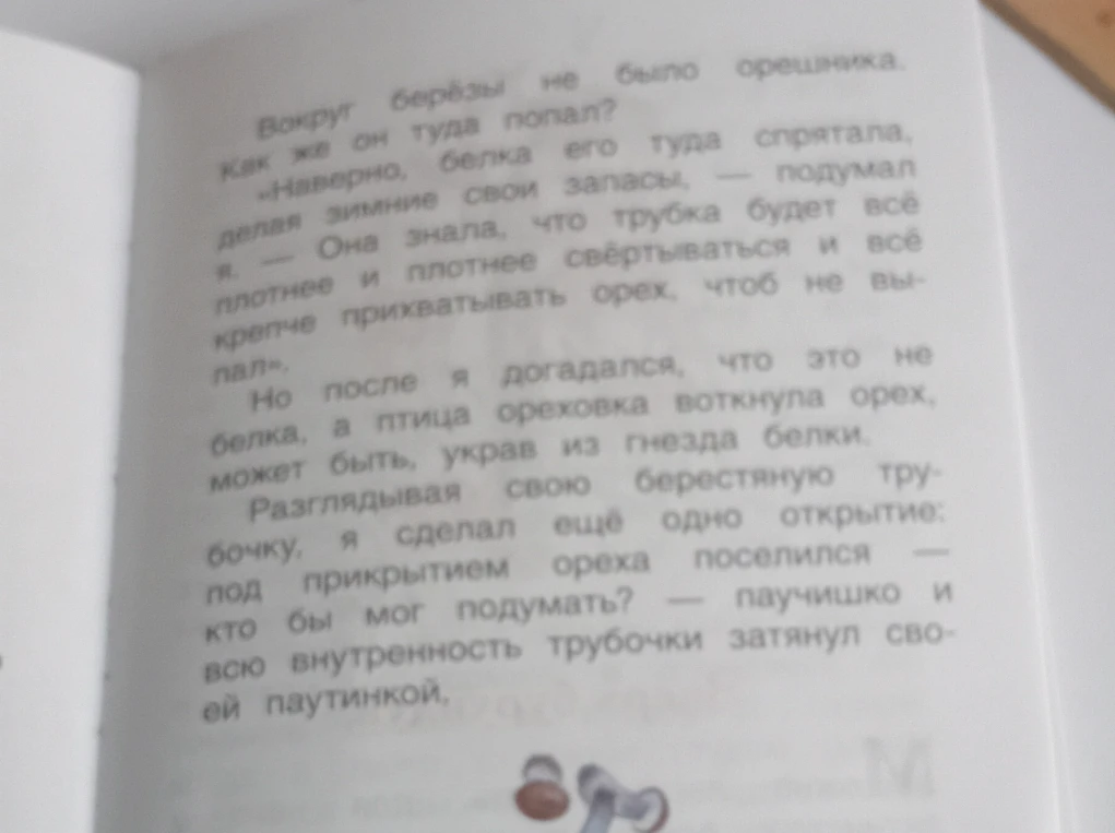 Вокруг берёзы не было орешника. Как же он туда попал?