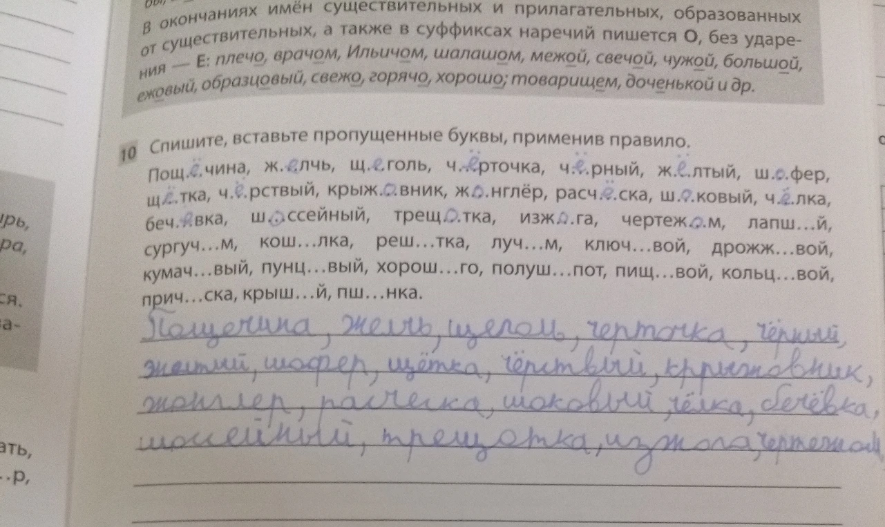 Спишите, вставьте пропущенные буквы, применив правило.