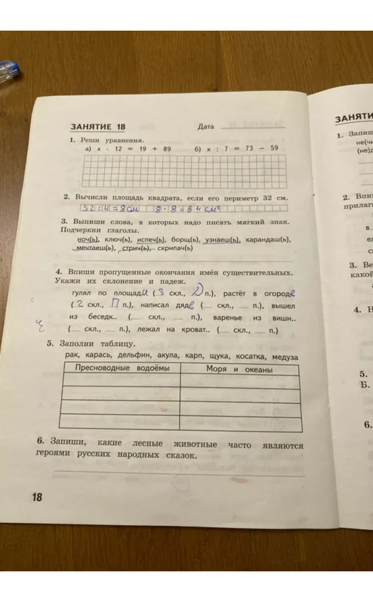 Впиши пропущенные окончания имён существительных. Укажи их склонение и падеж.