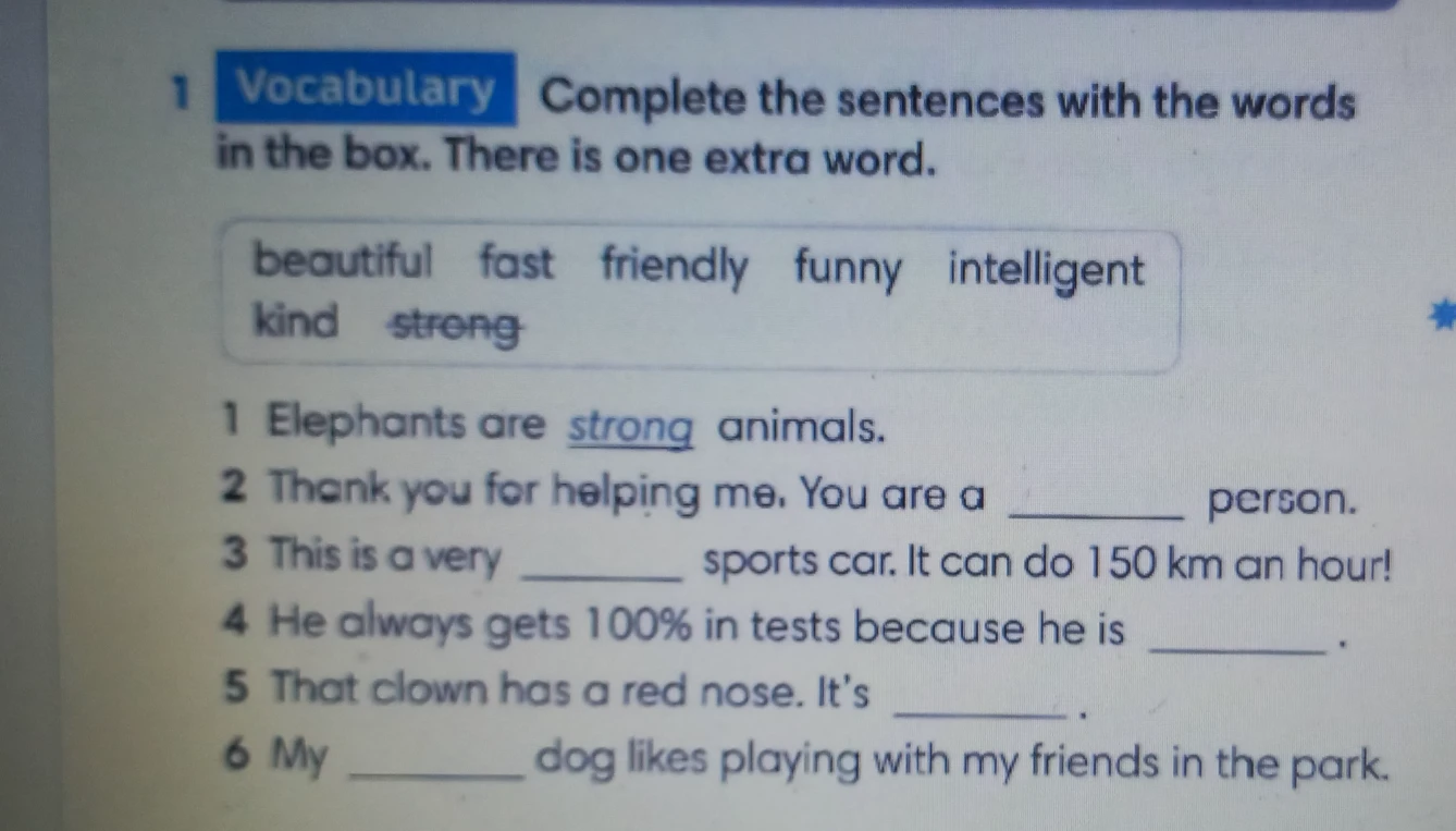 Complete the sentences with the words in the box. There is one extra word.