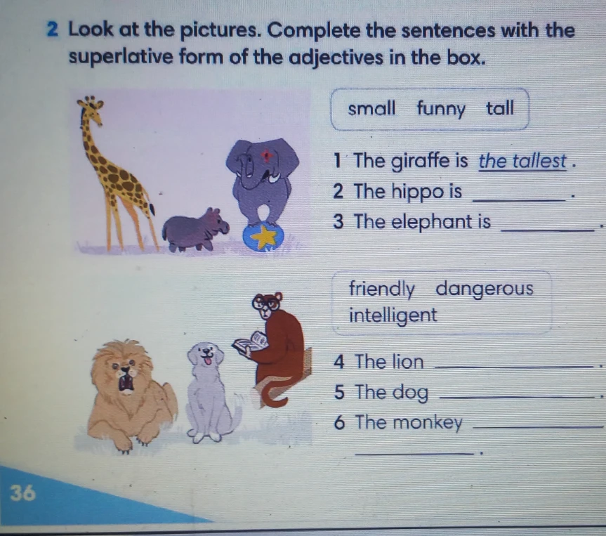 Look at the pictures. Complete the sentences with the superlative form of the adjectives in the box.
