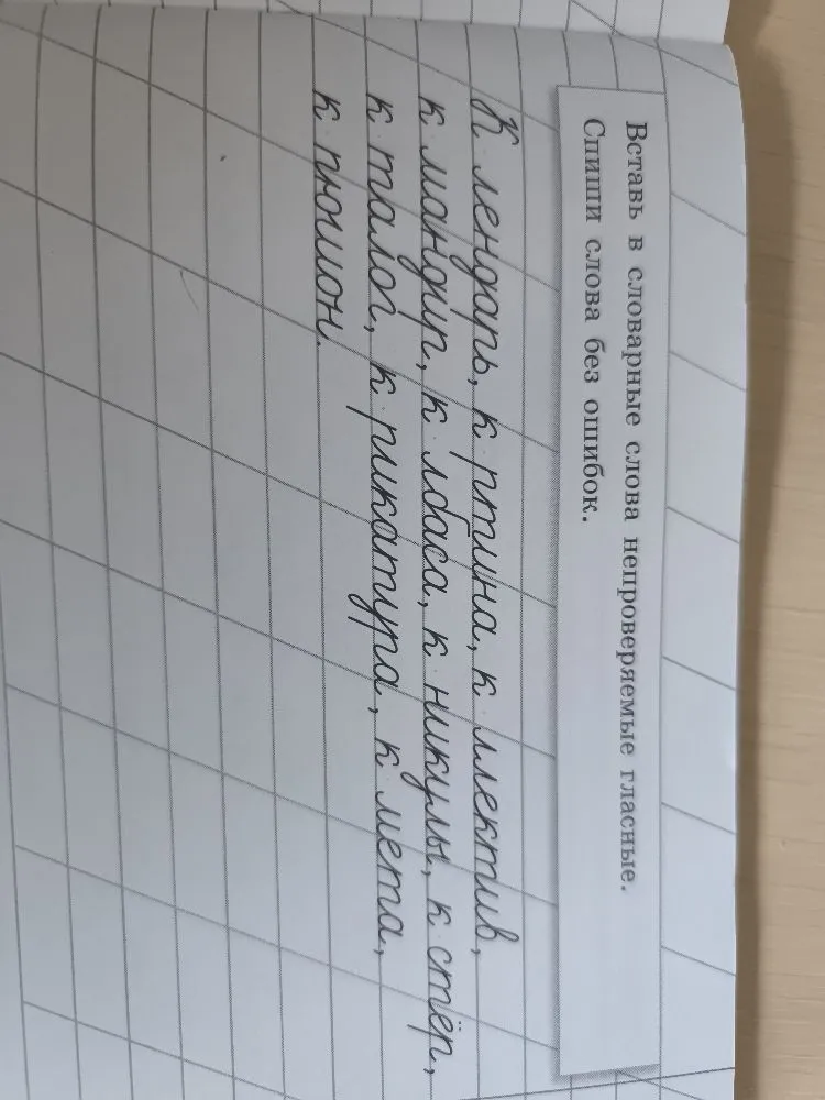 Вставь в словарные слова непроверяемые гласные. Спиши слова без ошибок.
