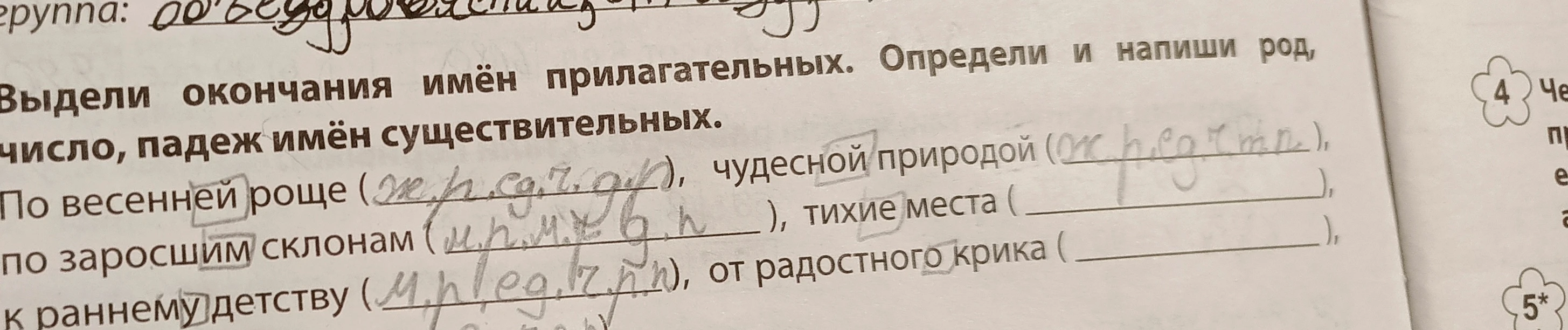 Выдели окончания имён прилагательных. Определи и напиши род, число, падеж имён существительных.