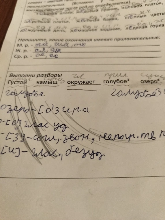 Выполни разборы