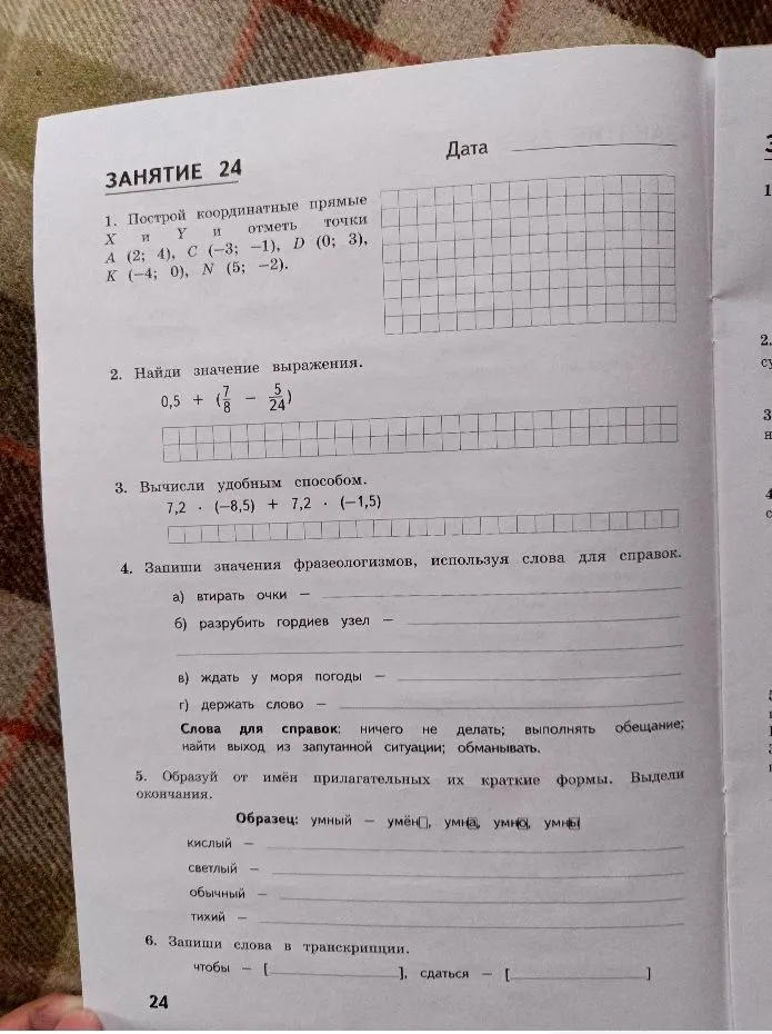 1. Построй координатные прямые X и Y и отметь точки A (2; 4), C (-3; -1), D (0; 3), K (-4; 0), N (5; -2).