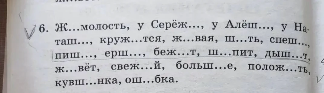 6. Ж...молость, у Серёж..., у Алёш..., у Наташ..., круж...тся, ж...вая, ш...ть, спеш..., пиш..., ерш..., беж...т, ш...пит, дыш...т, ж...вёт, свеж...й, больш...е, полож...ть, кувш...нка, ош...бка.