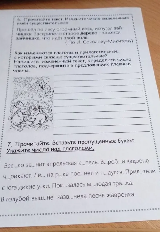 6. Прочитайте текст. Измените число выделенных имён существительных.